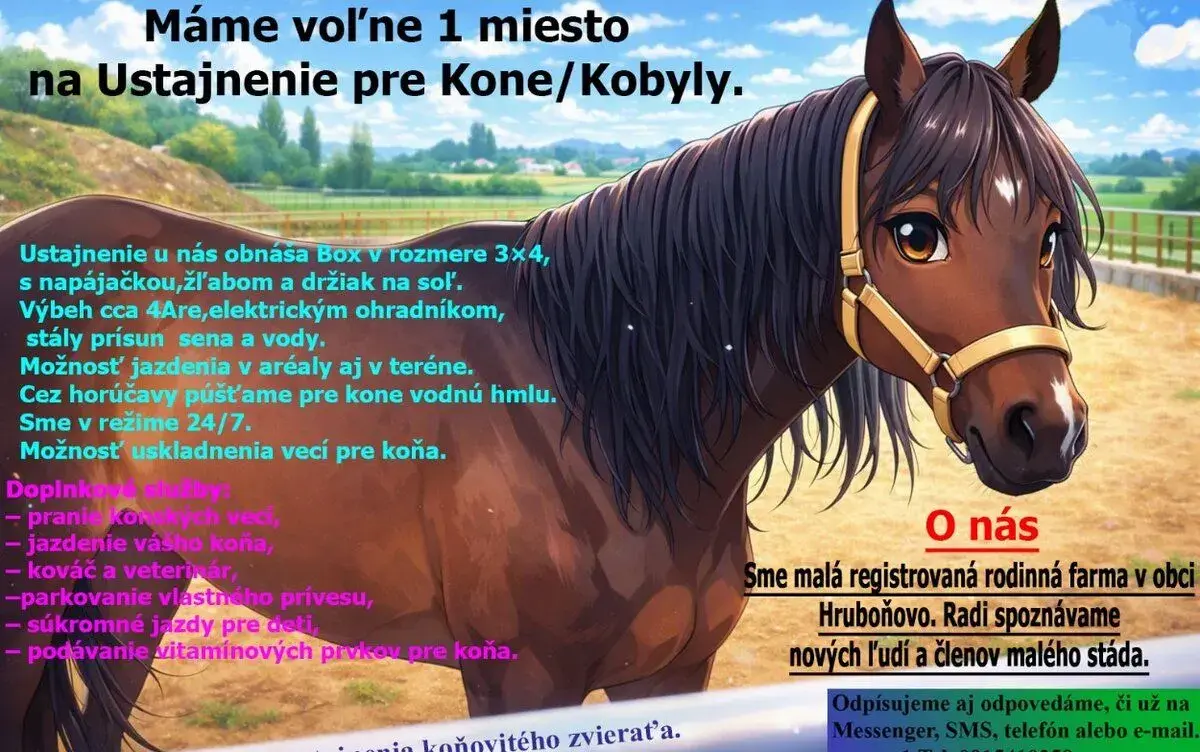 Ustajnenie pre 1 koňa