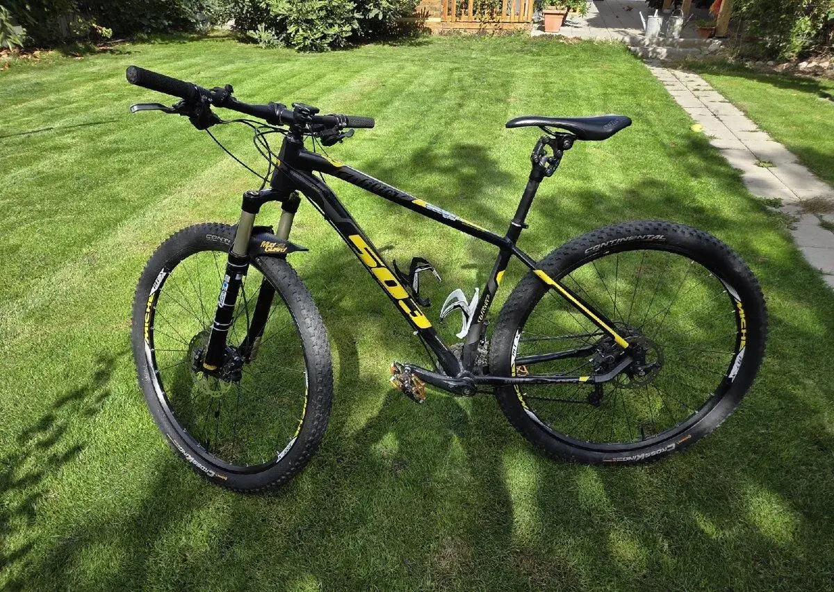 Wilier trestina
