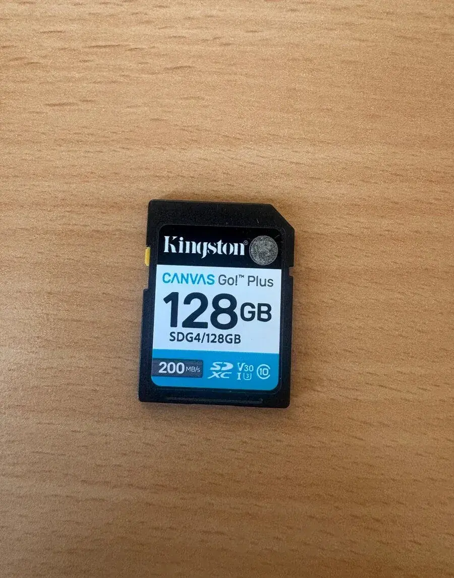 Kingston CANVAS Go Plus 128 GB