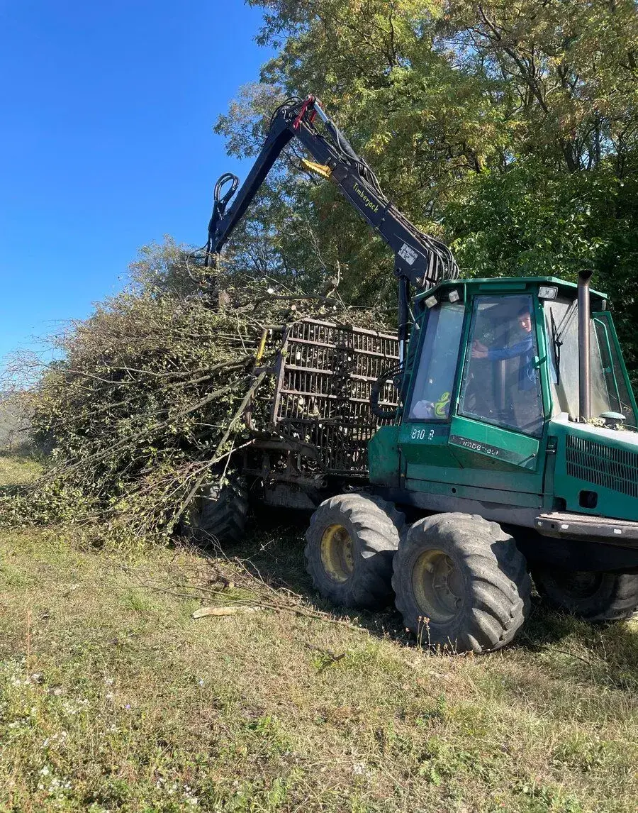 Timberjack 810b