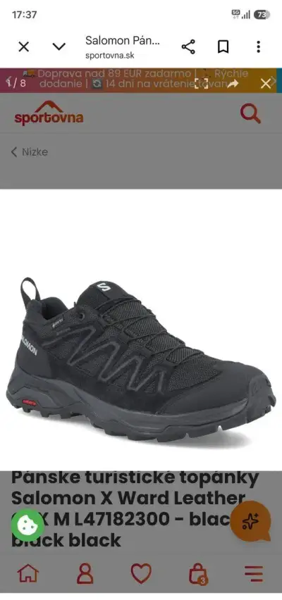 SALOMON X WARD GTX