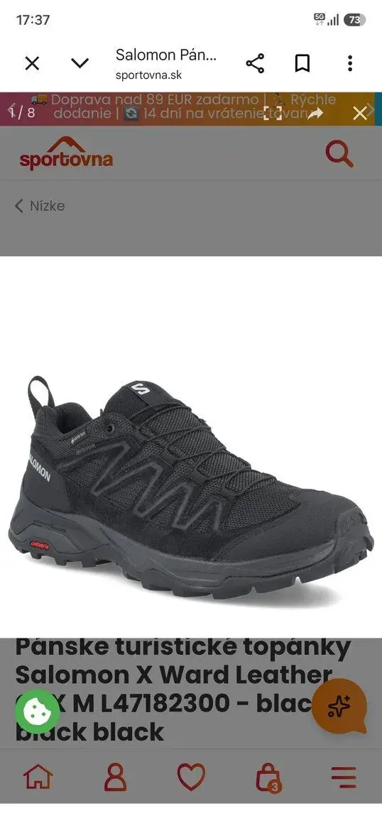 SALOMON X WARD GTX