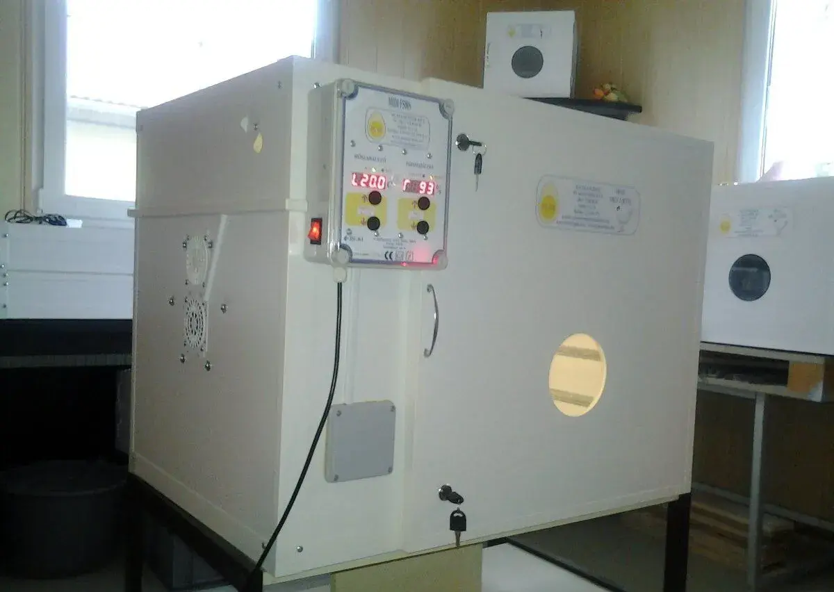 Liahen,inkubator