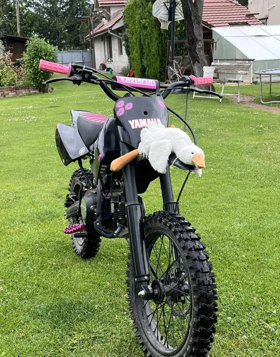 125ccm Pit-Bike