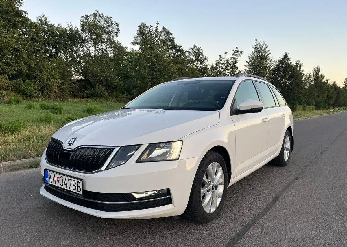 Škoda OCTAVIA – 2017, 228 000 km