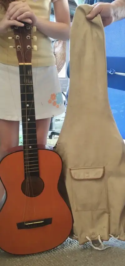 Gitara rok 1973