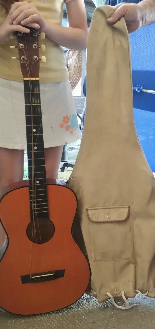 Gitara rok 1973