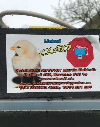 Liaheň
