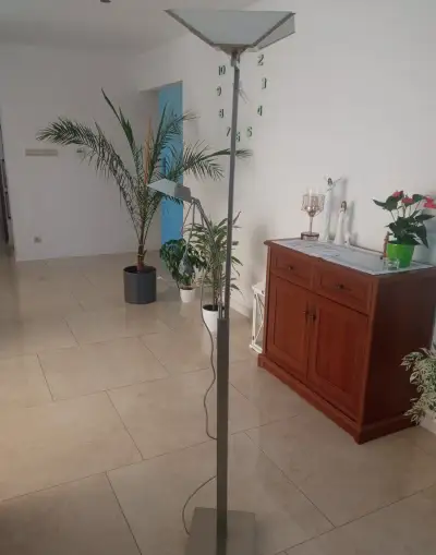 Eglo 88405 - Stojaca nerezova lampa