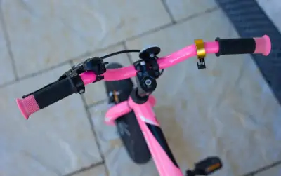 SPECIALIZED Riprock 12"