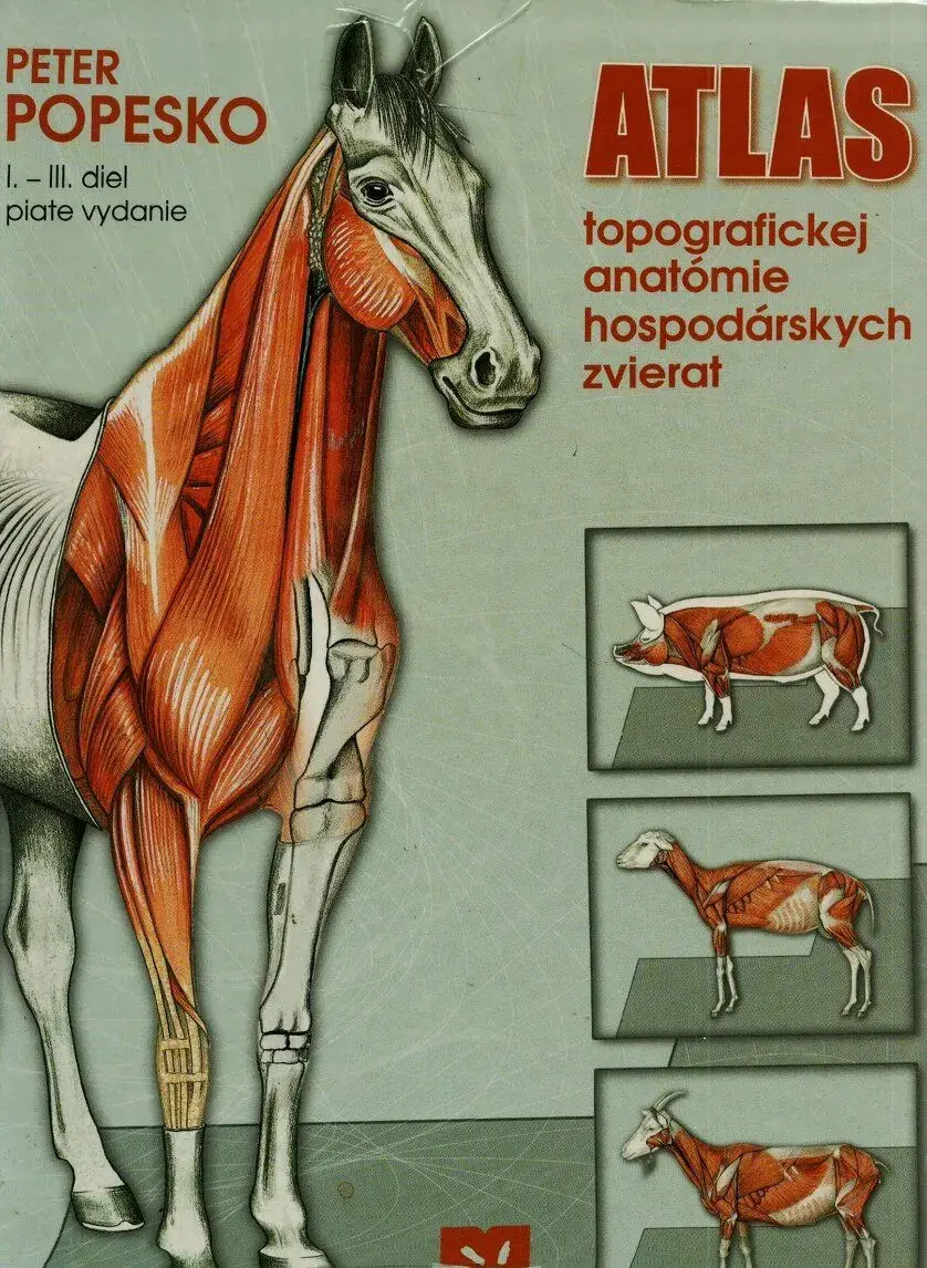 Atlas topografickej anatómie hospodárskych zvierat - Popesko