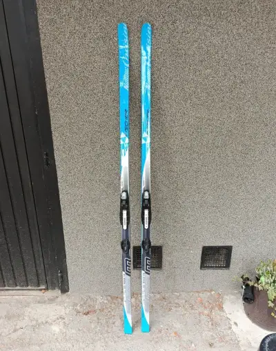 Nordic cruising