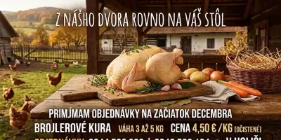 Domáce kura,kurča