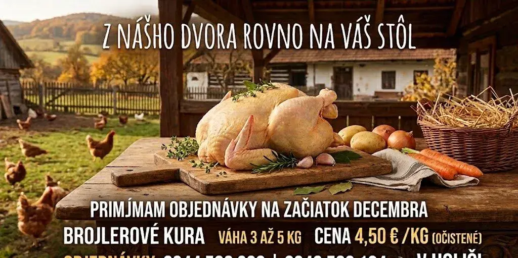 Domáce kura,kurča