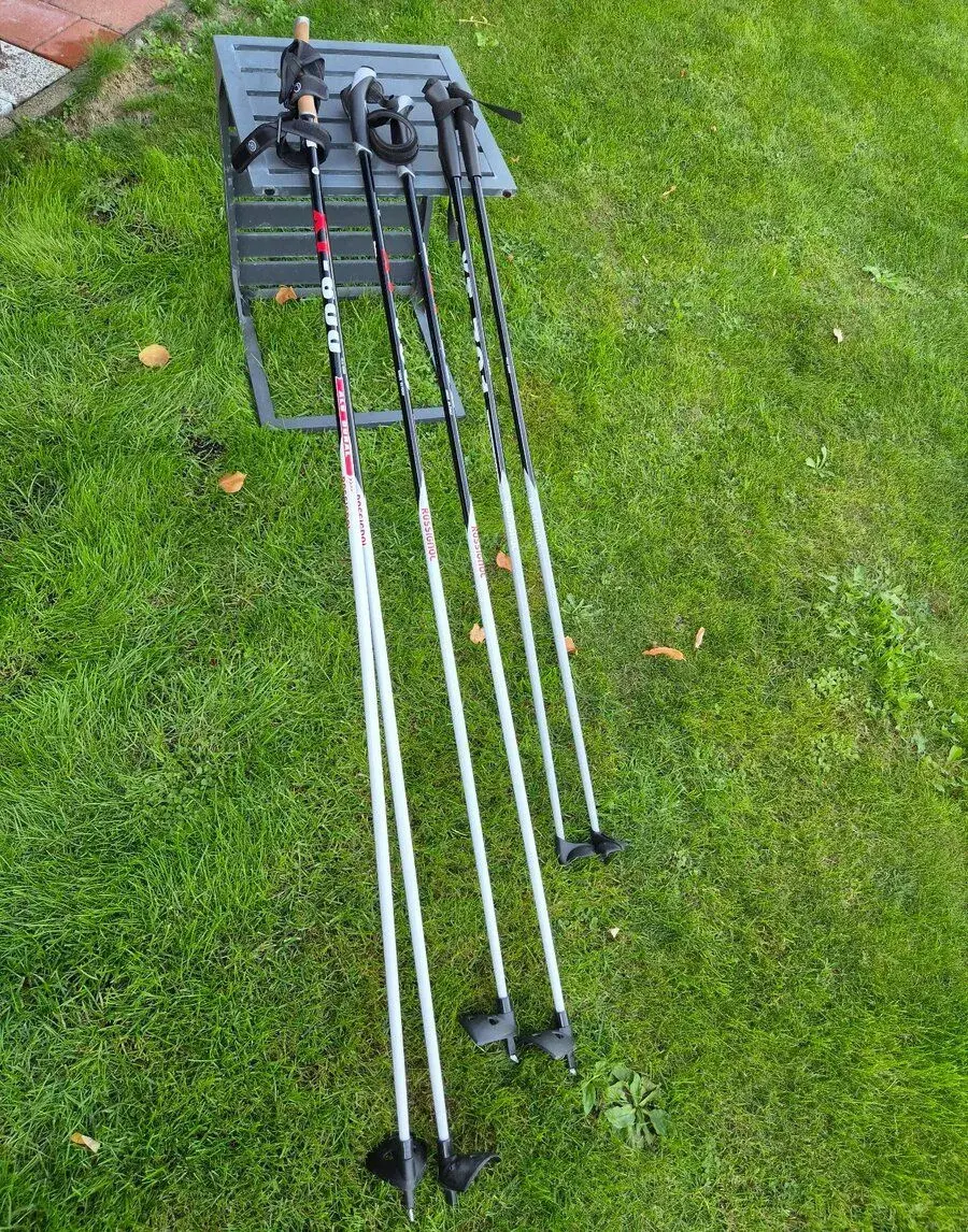 Bežkárske palice