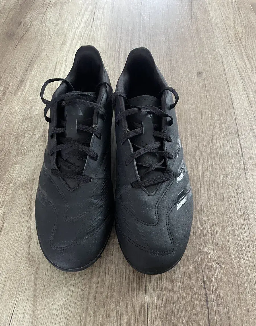 Tarfy Adidas