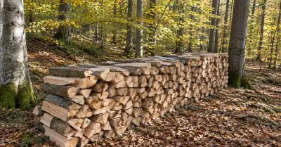 ✅Na predaj: Palivové drevo✅