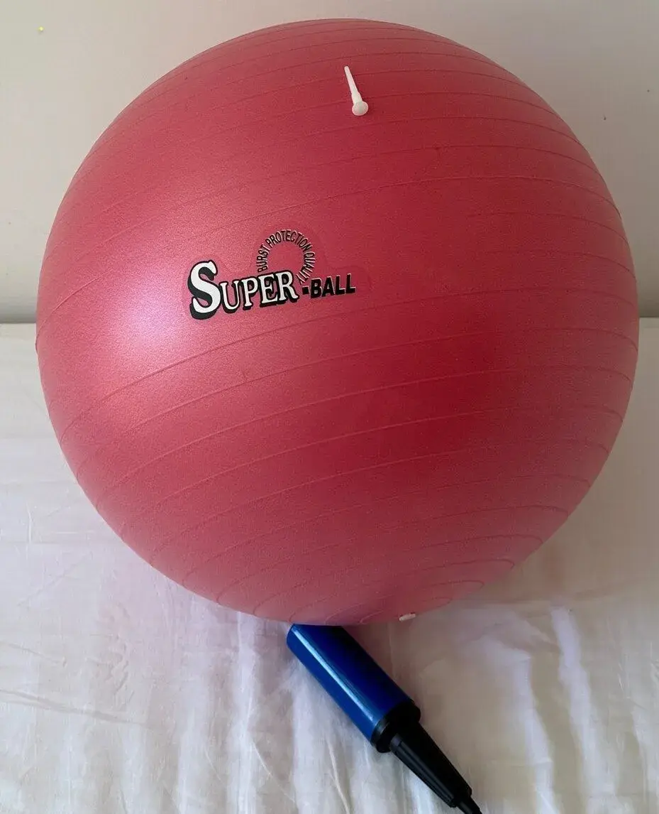 lopta fit GYMNASTICKA 55 cm za 10€
