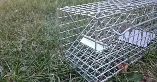 Pasca / klietka na kuny, mysi
