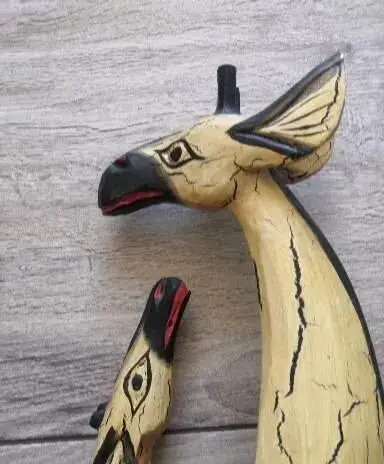 Žirafy