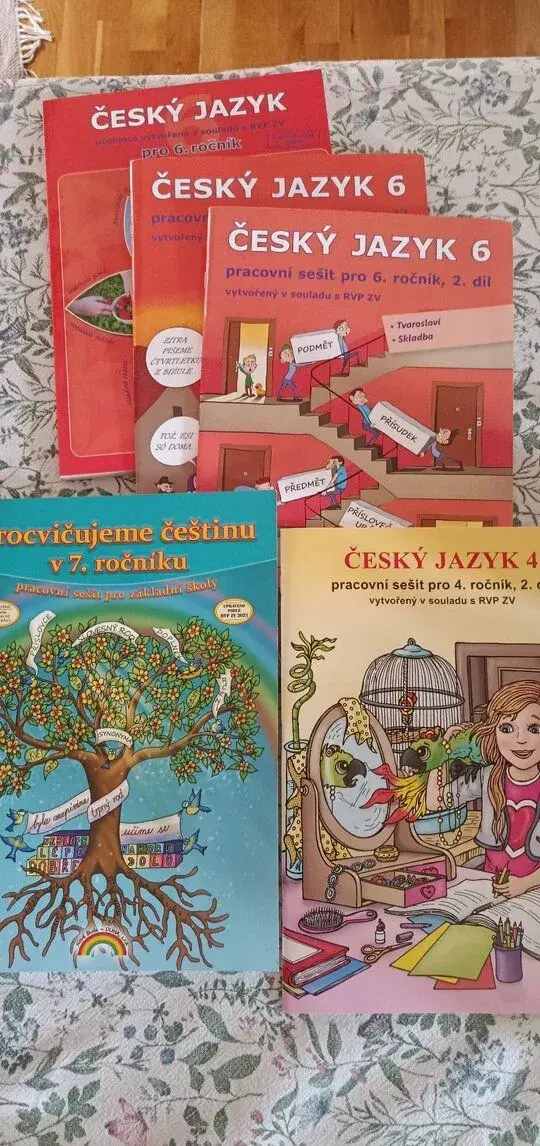 Cesky jazyk 6, 7