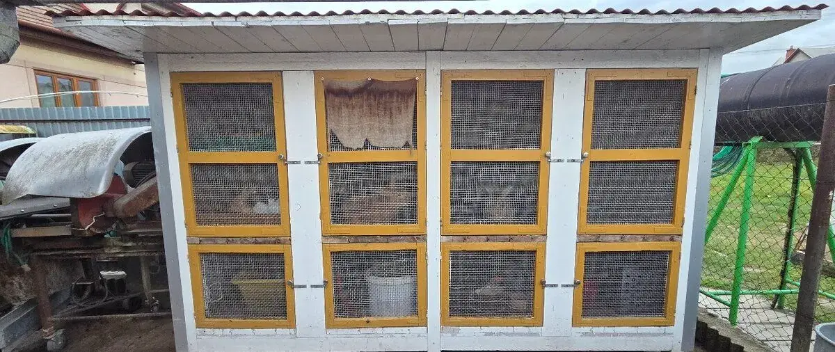 Zajačník