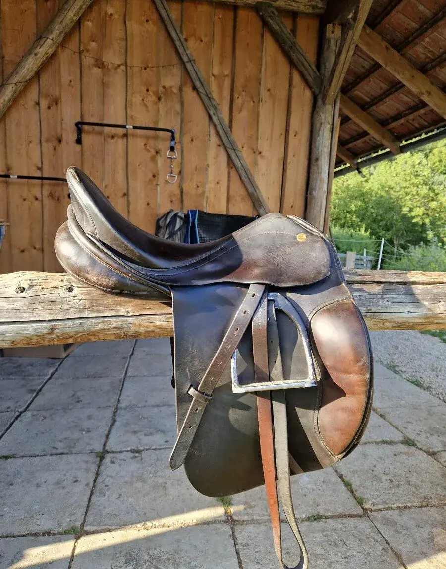 Prestige dressage