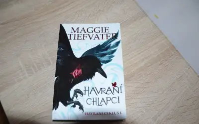 Havrani chlapci