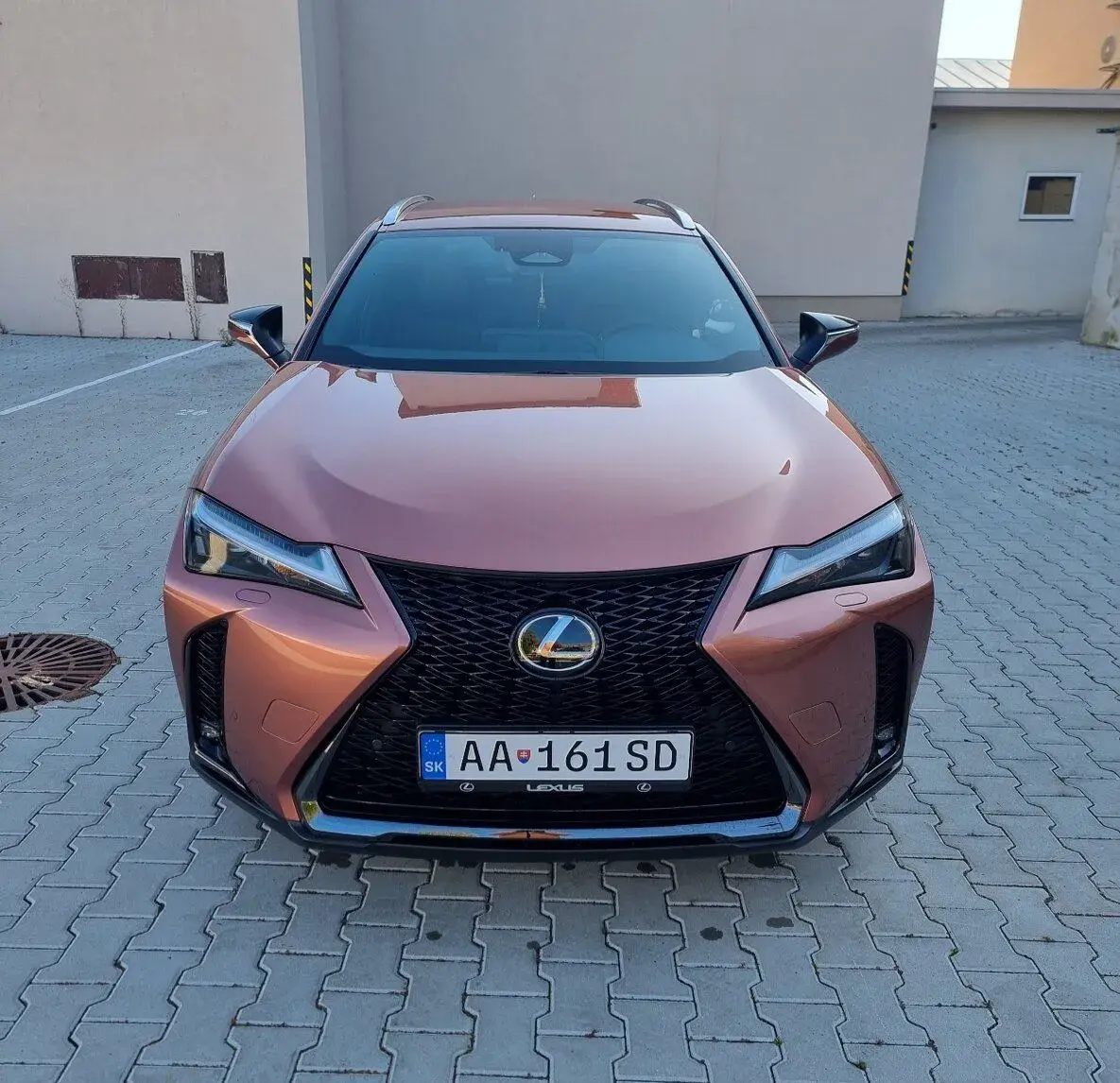 Lexus UX – 2025, 8 515 km