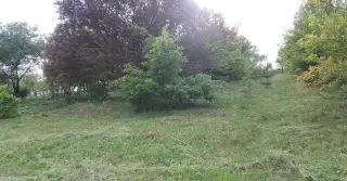 Pozemok - záhrada Velký Šariš - oblasť Kanaš