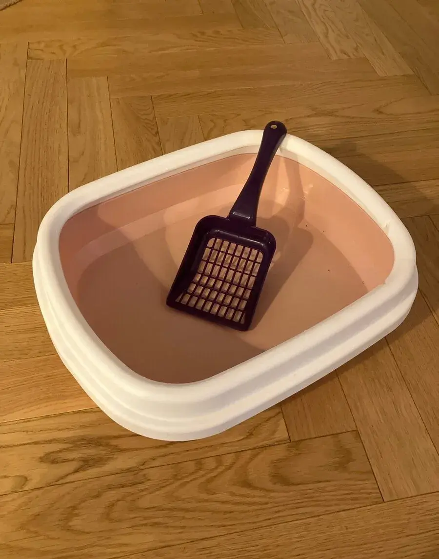 Mačací záchod
