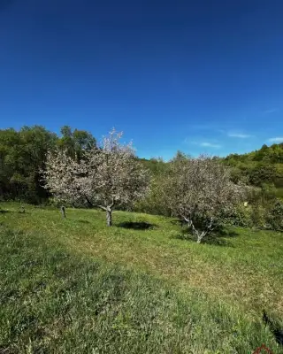 KH-948, Záhrada, pozemok, Prešov, Kendice