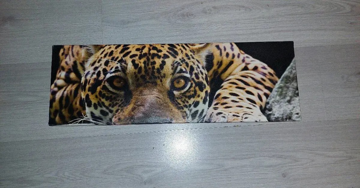 Obraz na stenu leopard