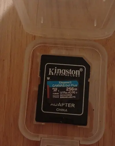SD karta Kingston 256GB (V30, 4K video)