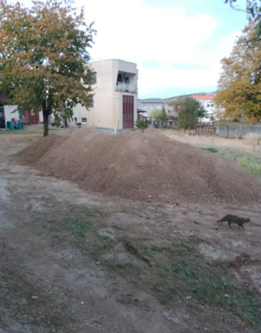 Pretriedenu ornicu.