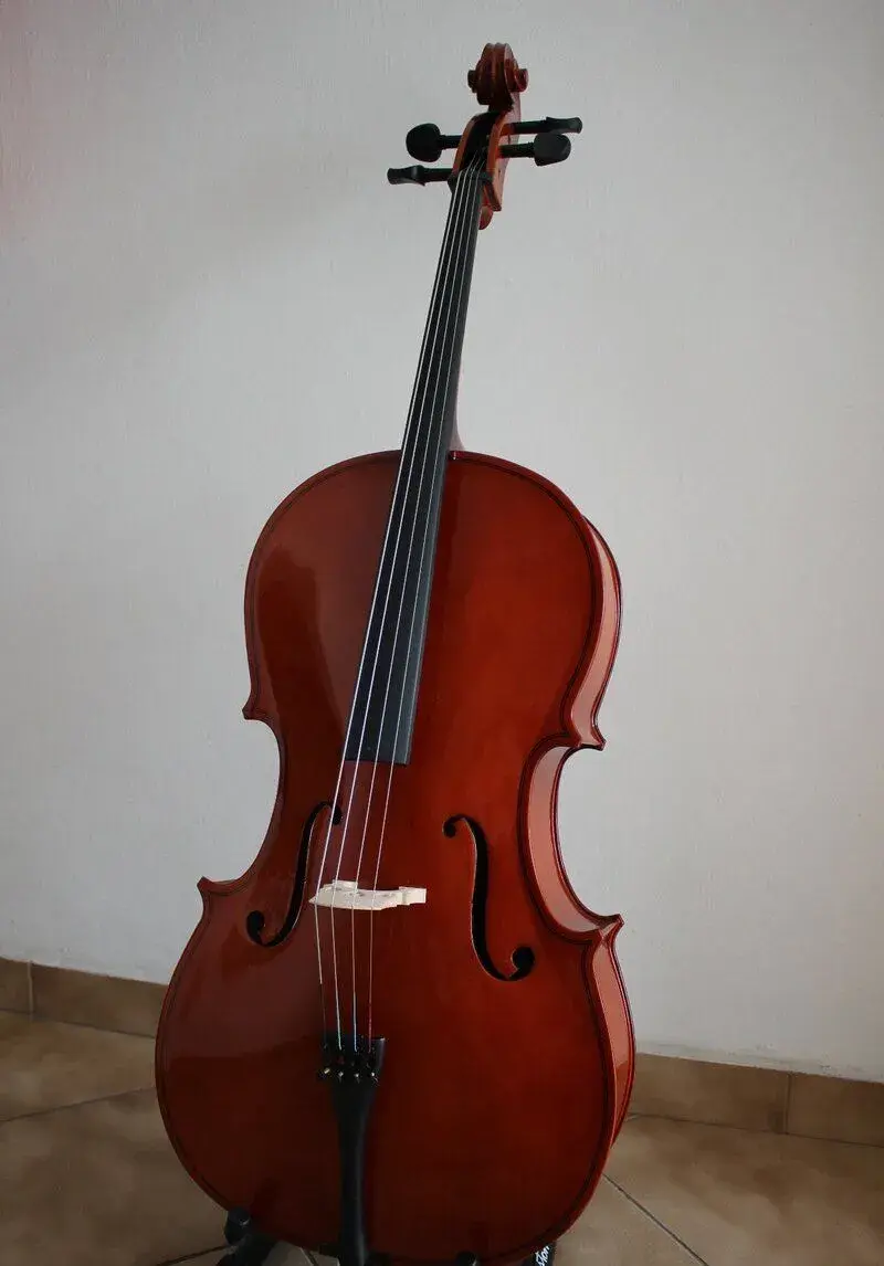 Violoncello 3/4, 4/4