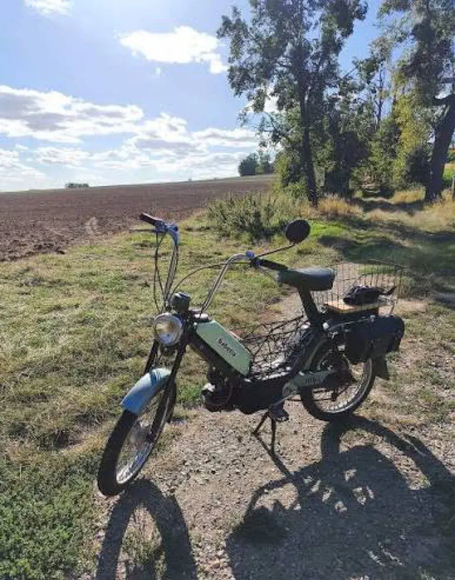 Babettu 210