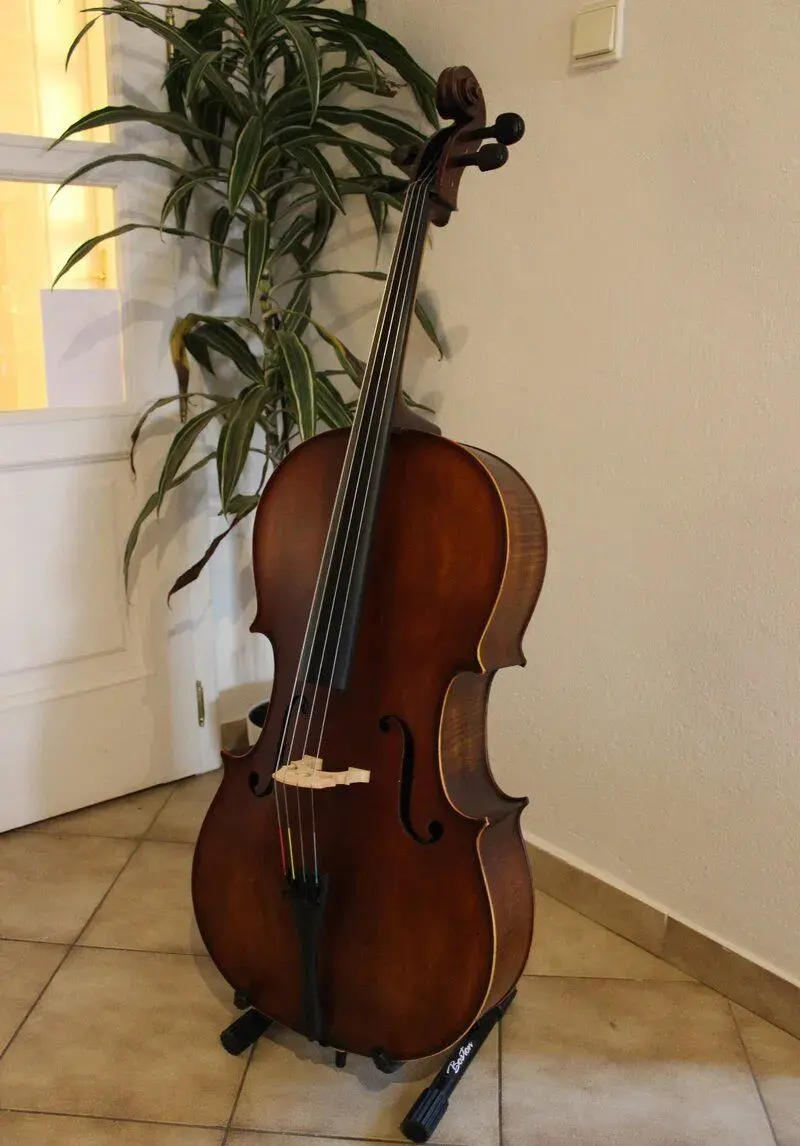 4/4 violoncello