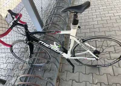 Merida warp4