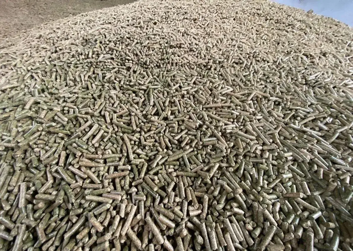 Lucerne granule