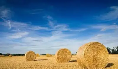 BALÍKY PŠENIČNEJ A JAČMENNEJ SLAMY OKRÚHLE