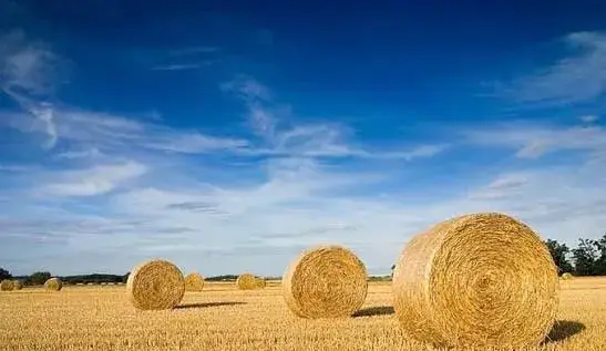 BALÍKY PŠENIČNEJ A JAČMENNEJ SLAMY OKRÚHLE