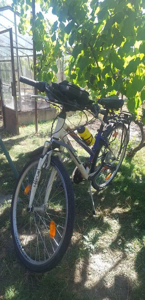 bicykel colorado roadrun