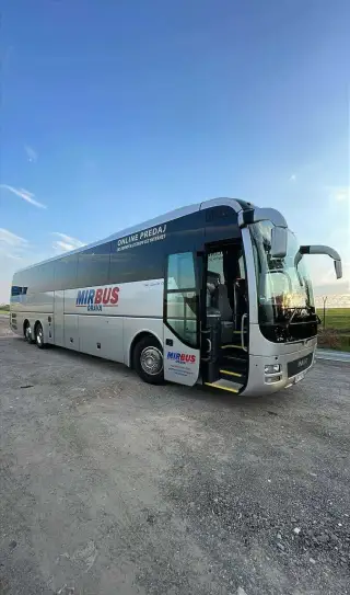 Man lions’coach r08