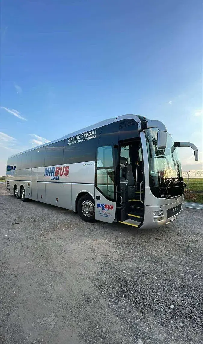 Man lions’coach r08