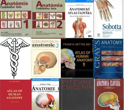 PDF učebnice anatómie (s možnosťou vyhľadávania v texte)