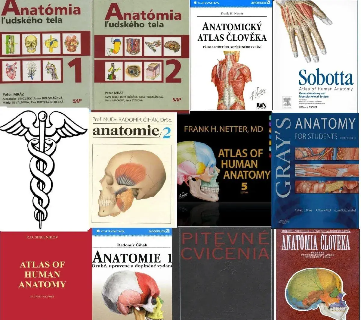 PDF učebnice anatómie (s možnosťou vyhľadávania v texte)