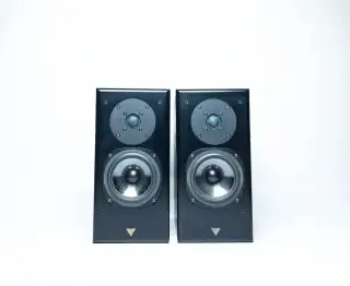 Vienna Acoustics Haydn