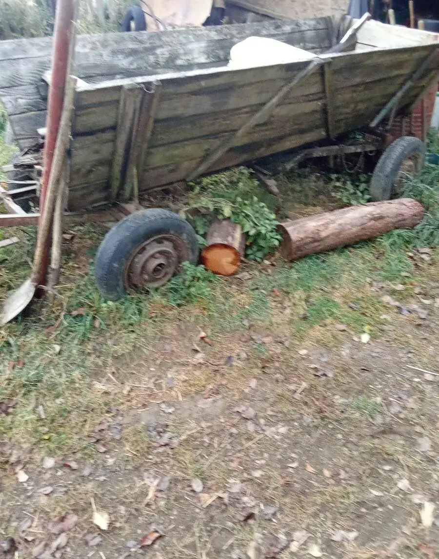 Vimenim