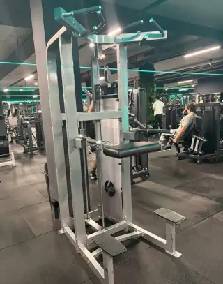 Hammer Strength Dip chin
